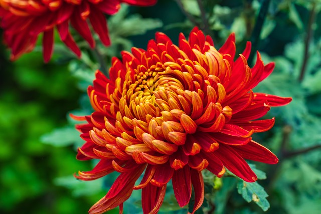 涓勾浠ュ悗濠氬Щ,涓勾濠氬Щ瀹炴儏