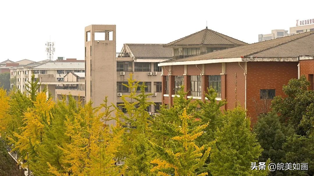 安徽大学好看的风景,高校最美秋景