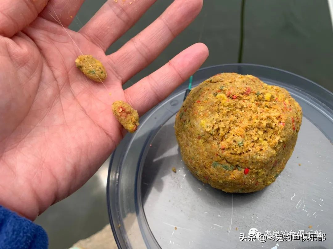 擒龙大物版,擒大物钓鱼视频