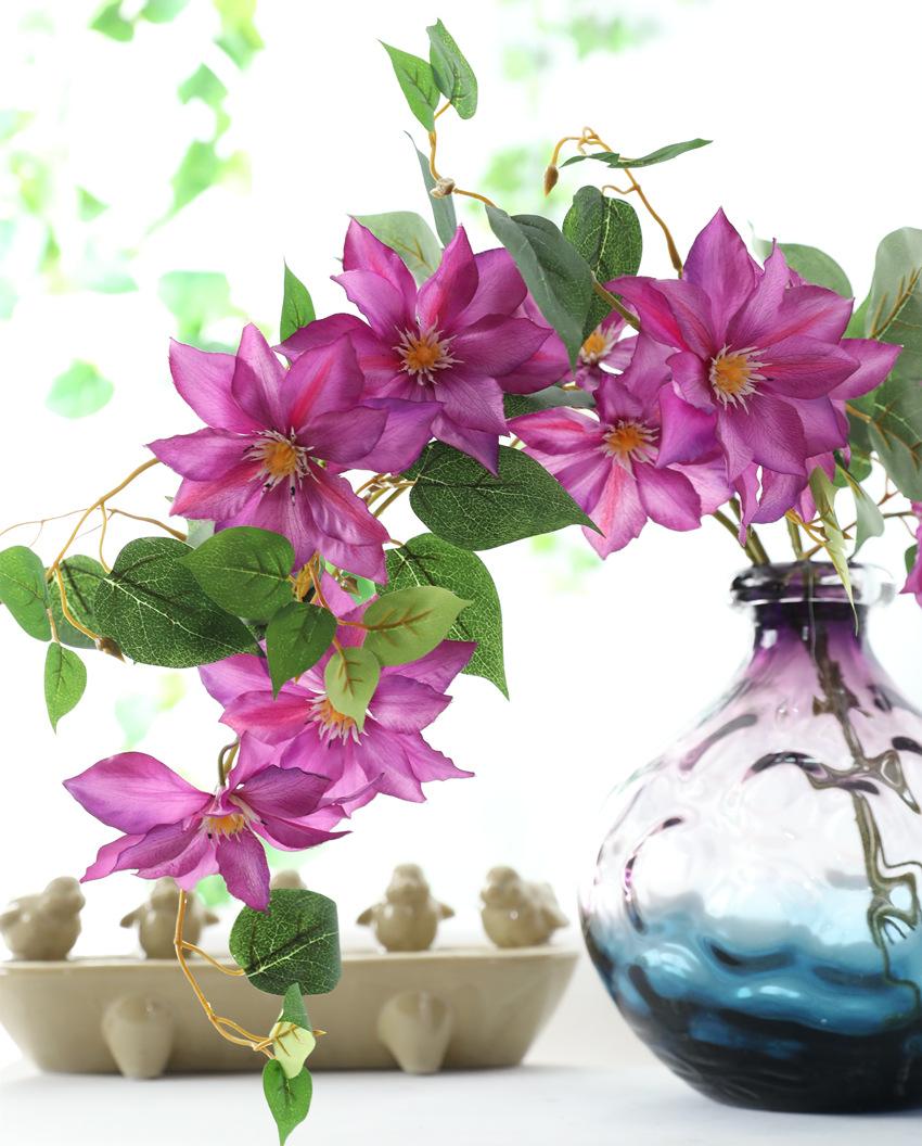 屋内绿植风水布局图解说明,办公室风水布局图绿植