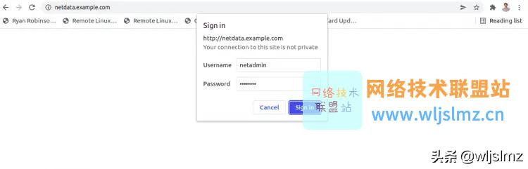 安利一款免费、开源、实时的服务器监控工具：Netdata