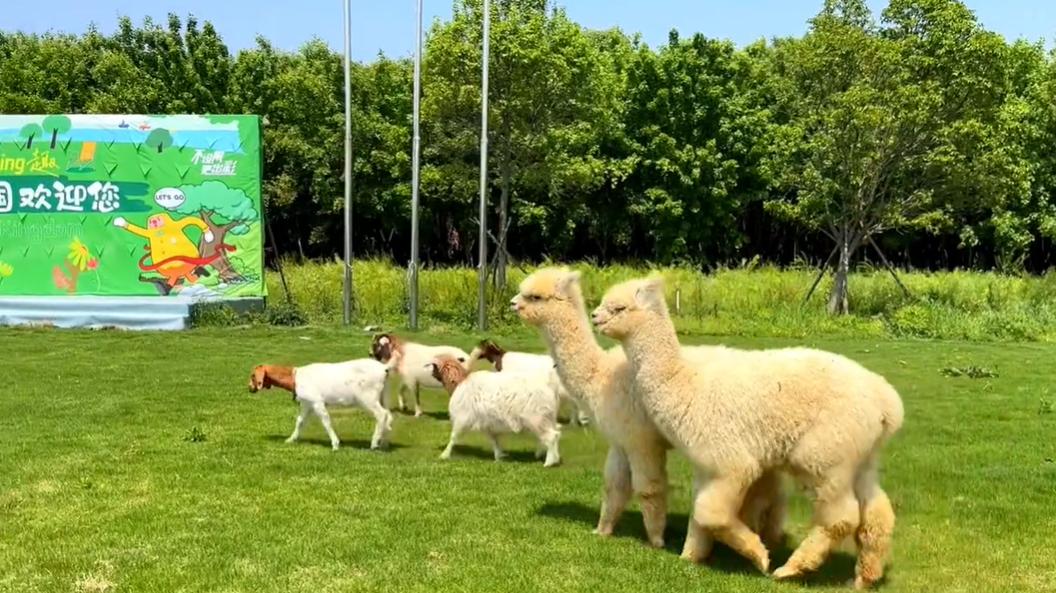 郑州周边网红打卡游玩攻略,适合孩子玩的郑州网红景点打卡地