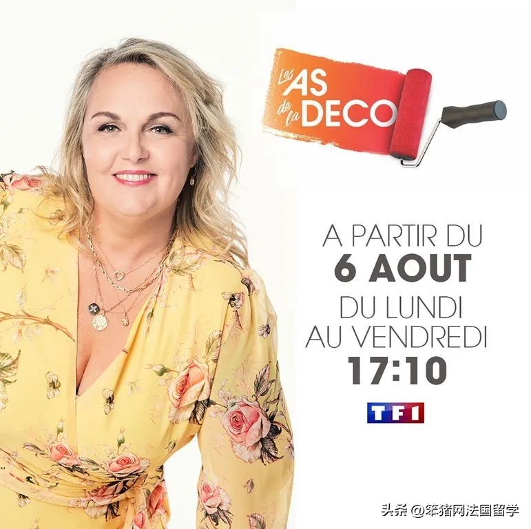 笨猪法语中文,笨猪法语