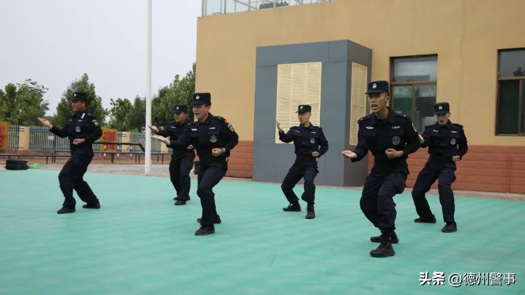 跟着警察去抓酒驾,跟着警察叔叔去出警