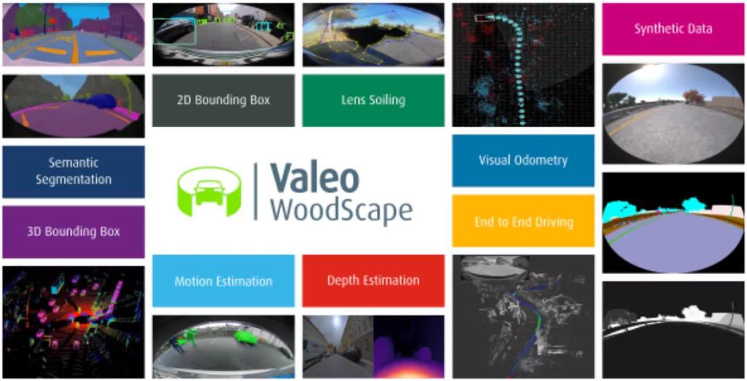 环视鱼眼,正视前方时眼珠不在正中间怎么办