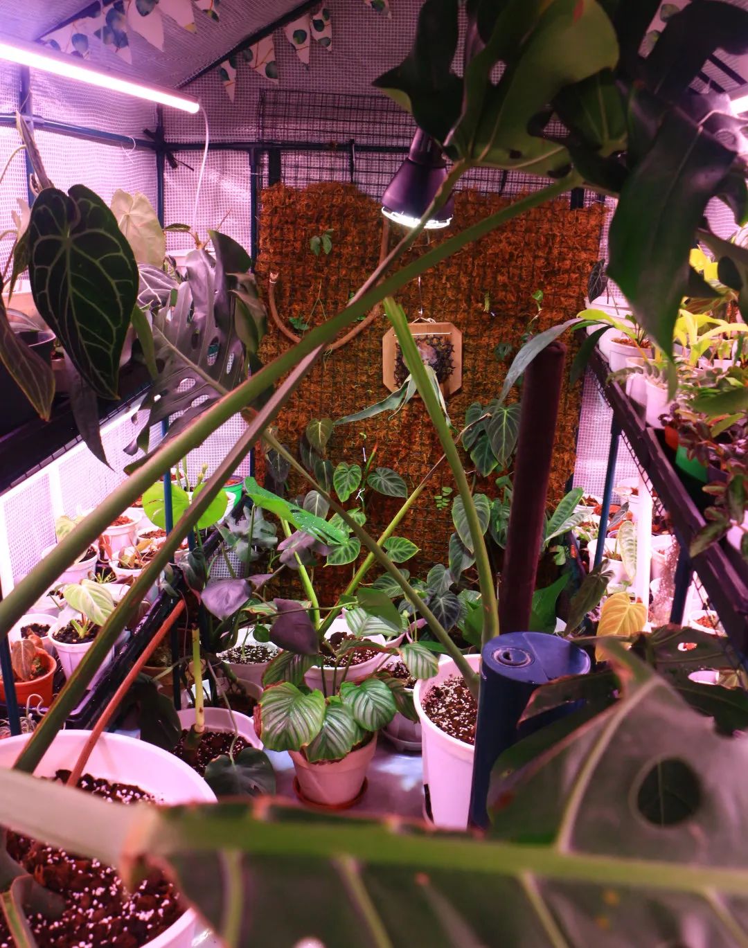 90后郑州房子装修,郑州没钱装修直接入住