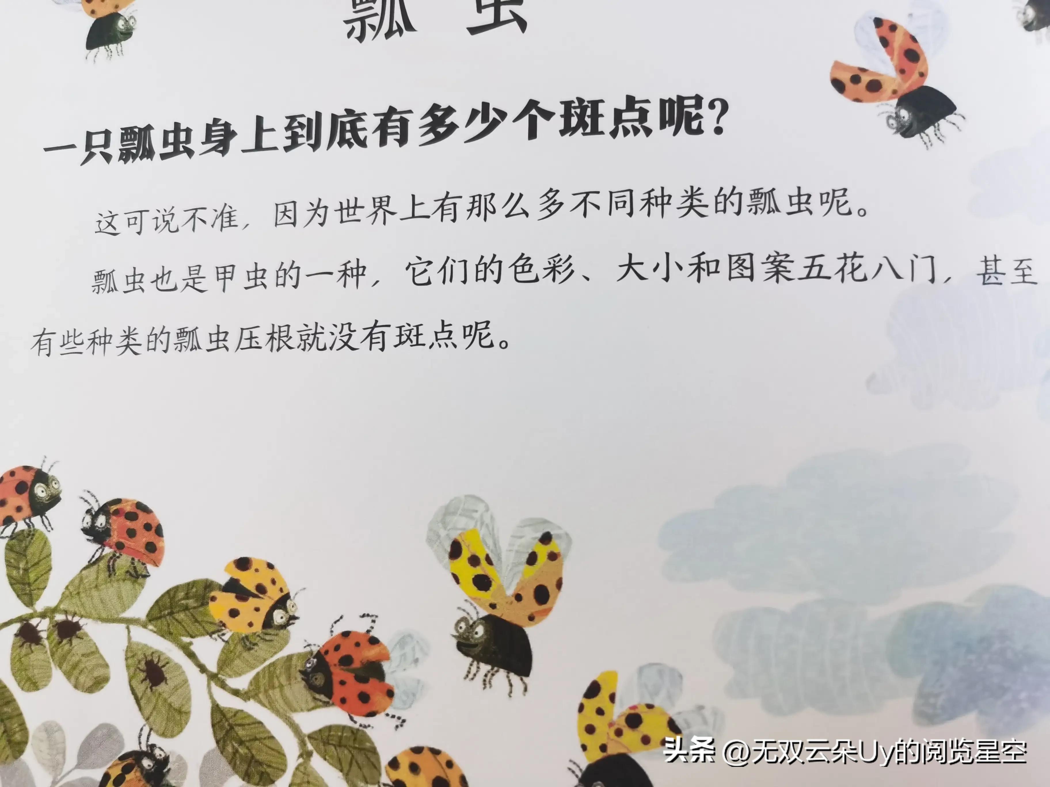 【绘本阅读⑦】虫虫！！！别怕，都躲进书里啦！找到它！