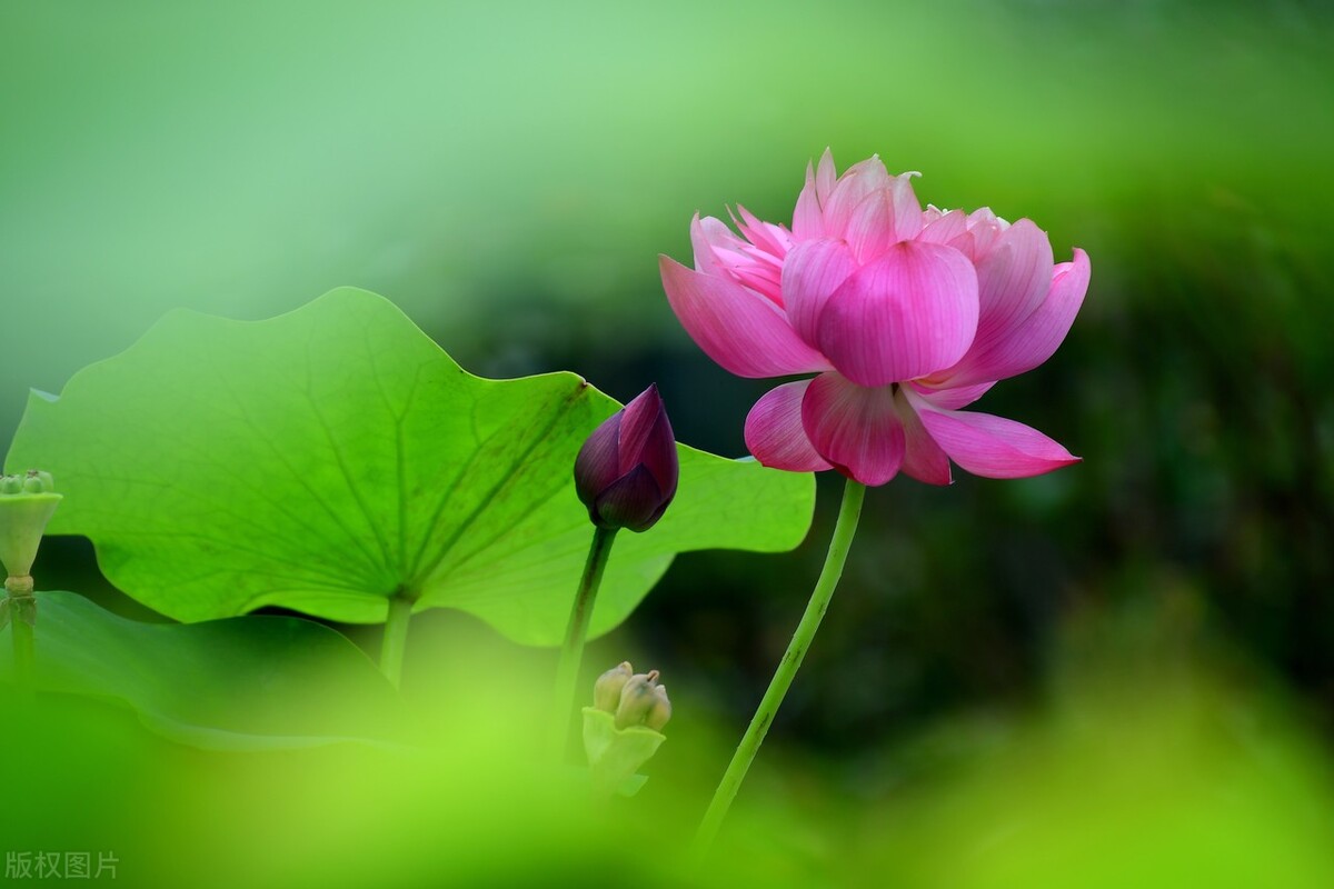 感谢每一天的美好遇见,感谢每一天的相逢