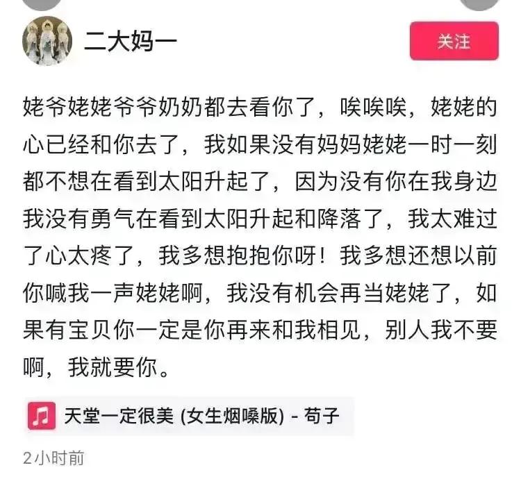 大连棒棰岛海鸥图片,大连棒棰岛有海鸥么