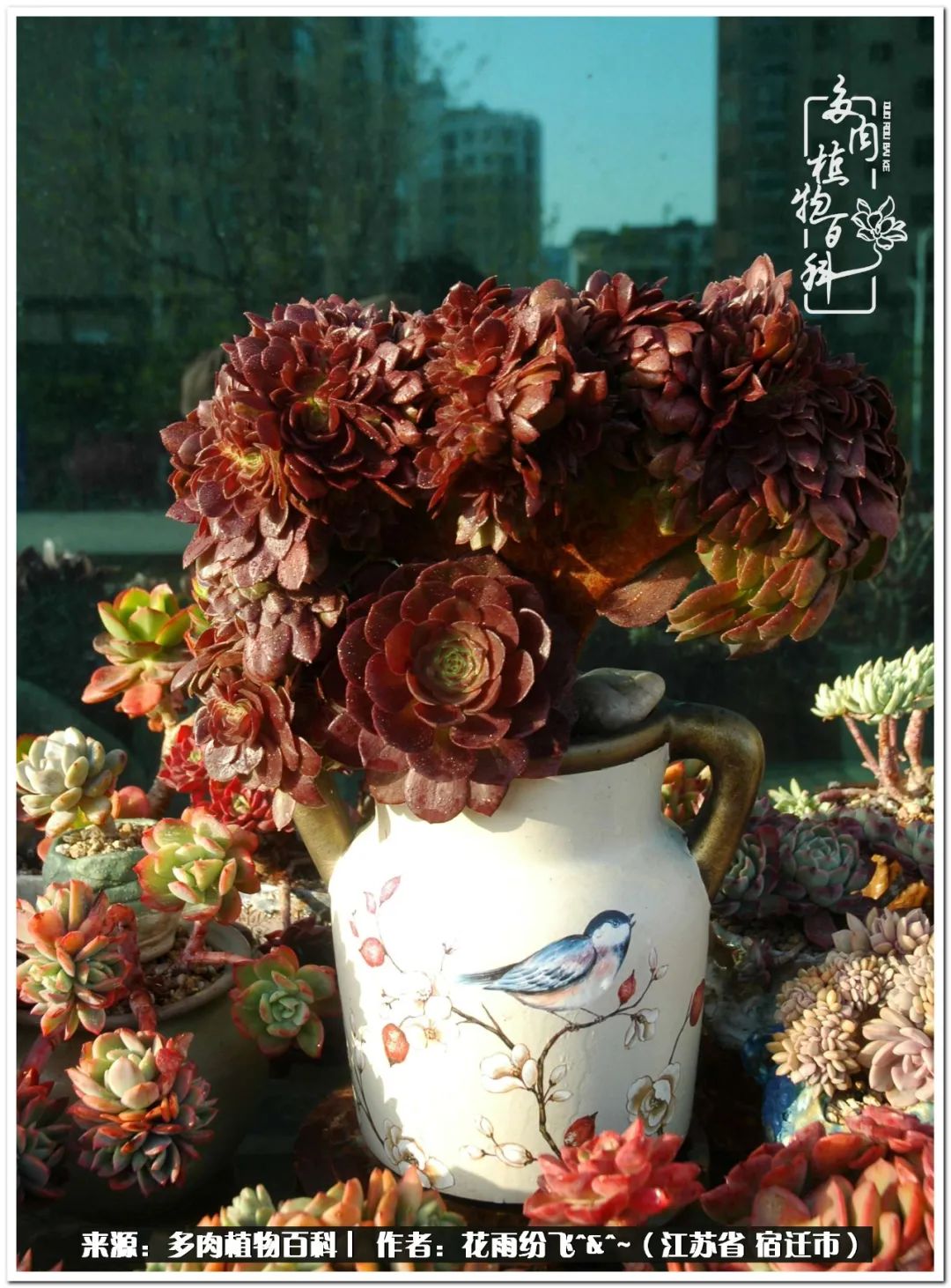 快乐的童年时光视频,回味快乐的童年美好的时光