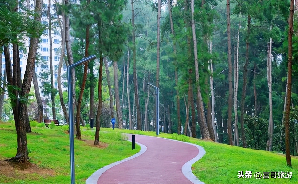 贵阳白云区旅游攻略图,贵州贵阳市内旅游攻略