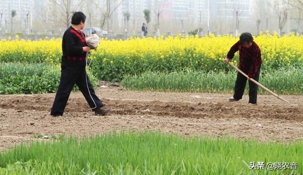 2022农历闰月,2022年闰月是几月份