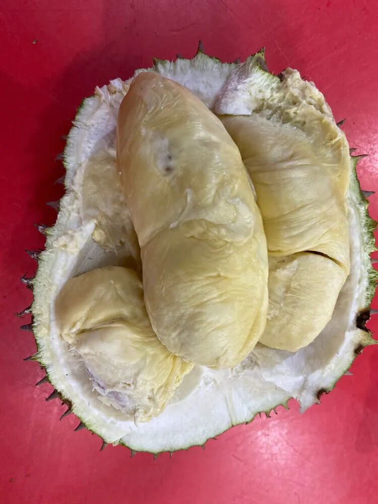 2021马来西亚榴莲,马来西亚榴莲2019.6.5