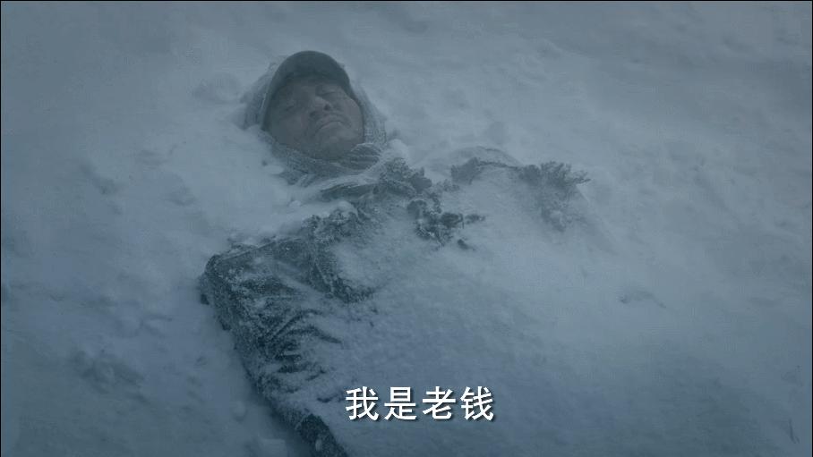 陈道明张丰毅王志文陈宝国侯勇,陈宝国陈道明张丰毅王志文李幼斌