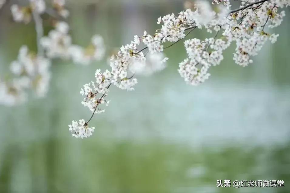 作文有一束光照亮我的世界600字,那一束光照亮我的世界作文600字