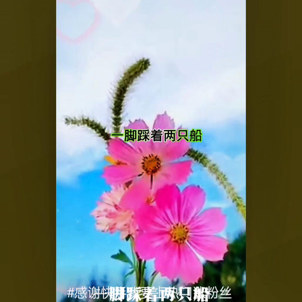年纪轻轻，手段太残忍了，法律严惩不贷#minnie一千零一个愿望