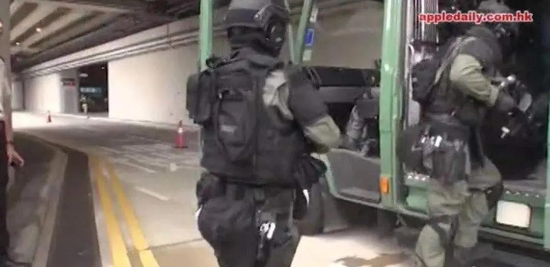 虎年说虎科普视频,虎年说虎运用了哪些说明方法