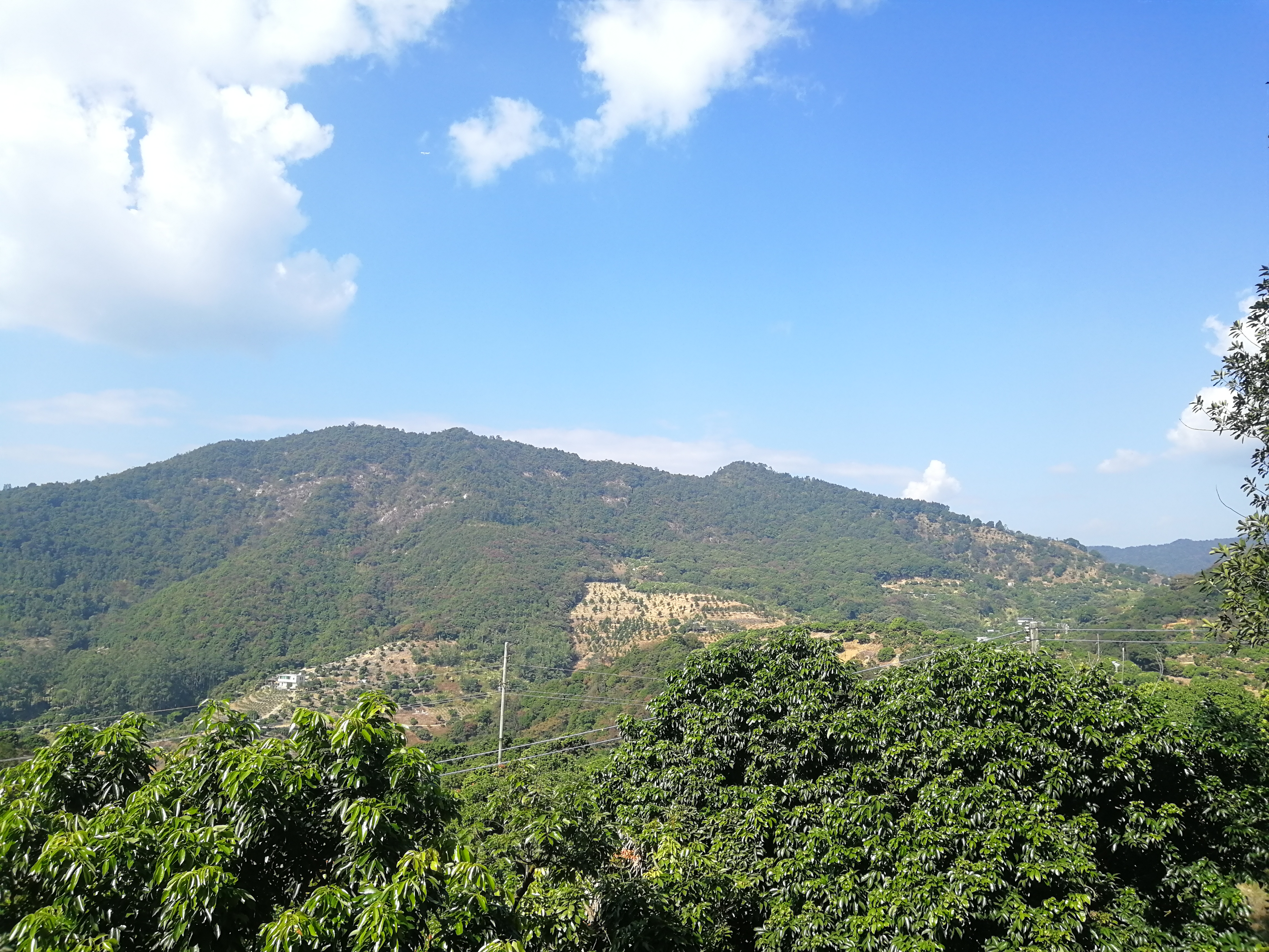 石门森林公园樱花谷交通线路,从化石门公园枫叶