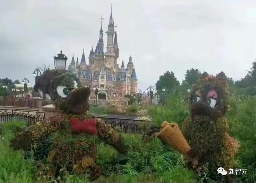 鐢ㄨ胺姝岃鏅潵鎺㈢储涓栫晫,鏈潵5骞磋胺姝岃鏅浘