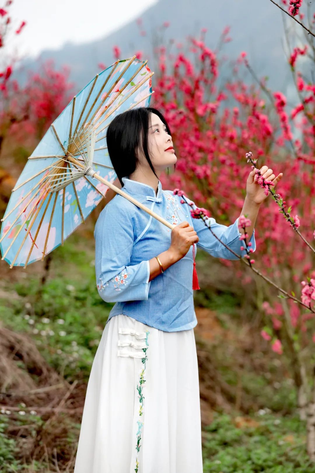 南宁徐霞客出游攻略,徐霞客在广西住了多少年