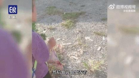 把孩子宠物煮熟来吃，还拍短视频博眼球？这种流量密码不要也罢