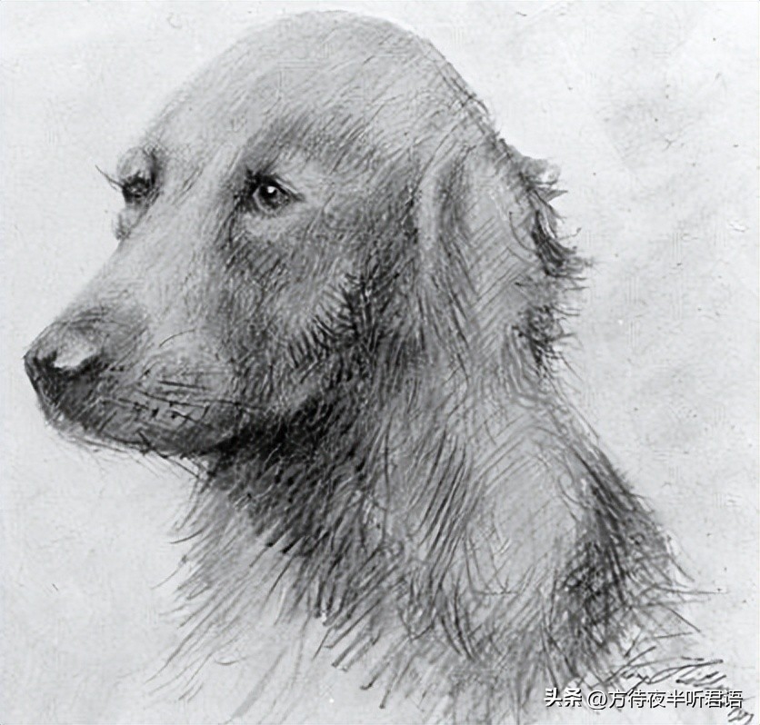 100张老照片见证世事沧桑,难得一见的老照片岁月是把杀猪刀