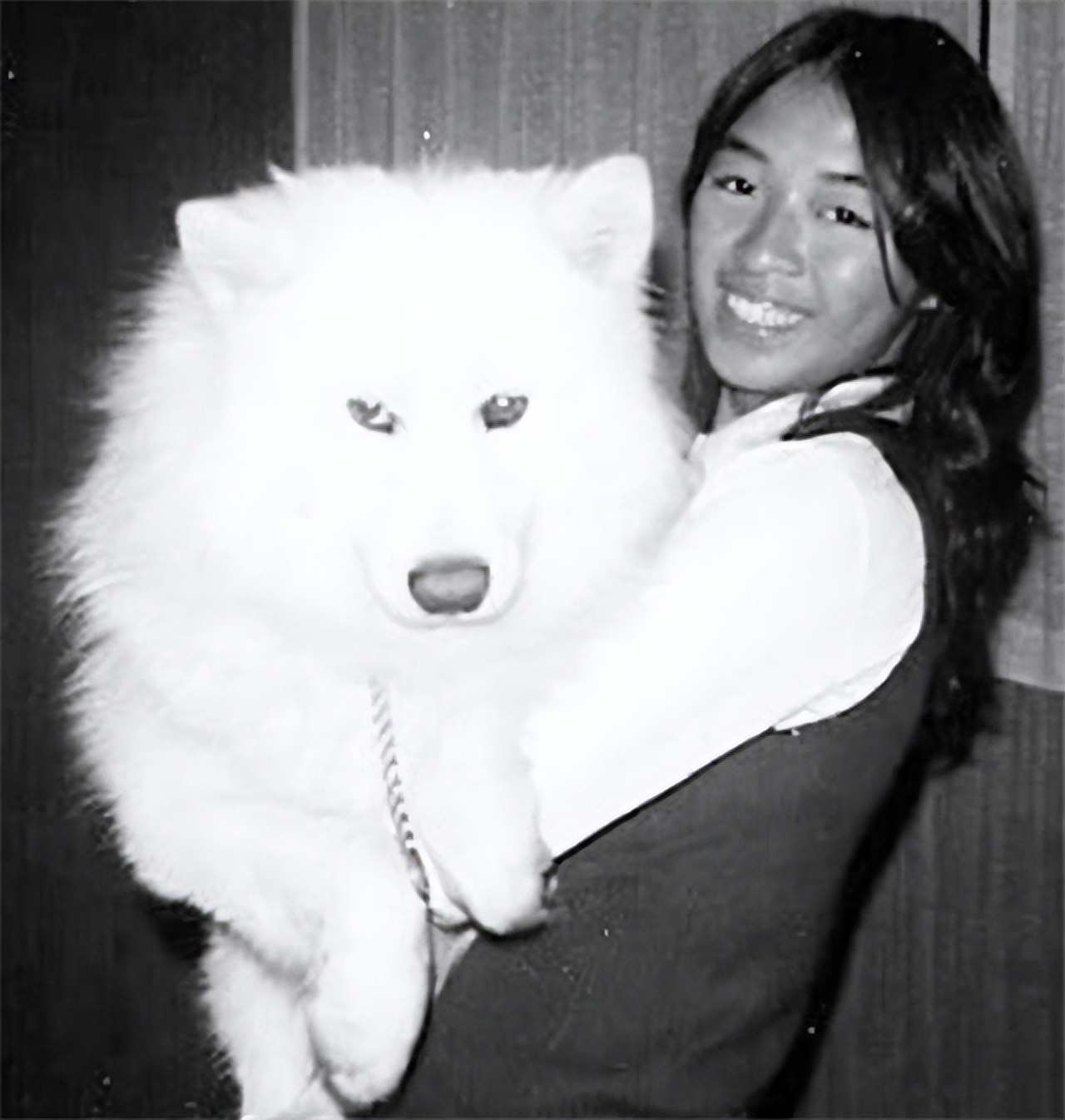 2001年飞机撞机事件视频,华裔空姐临终前录音