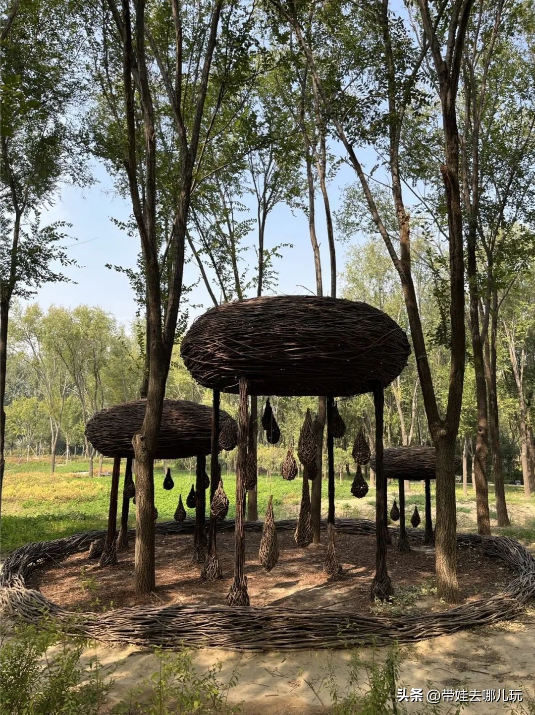 藏在二环的超小众免费公园,免费游玩的小公园