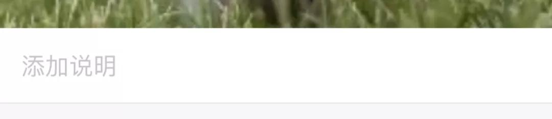 iphone相册权限在哪里打开,iphone私密相册怎么打开