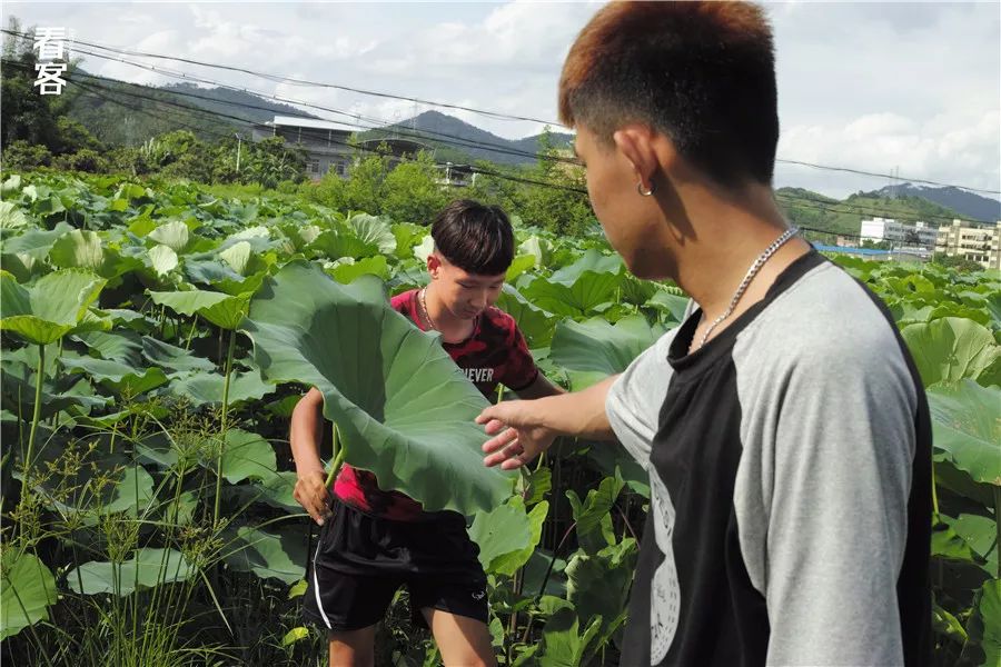 小镇的暑假,小镇少年的假期