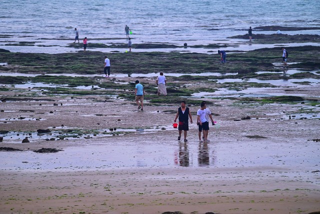 日照海洋公园18元饮料 (日照海洋公园18块钱的饮料)