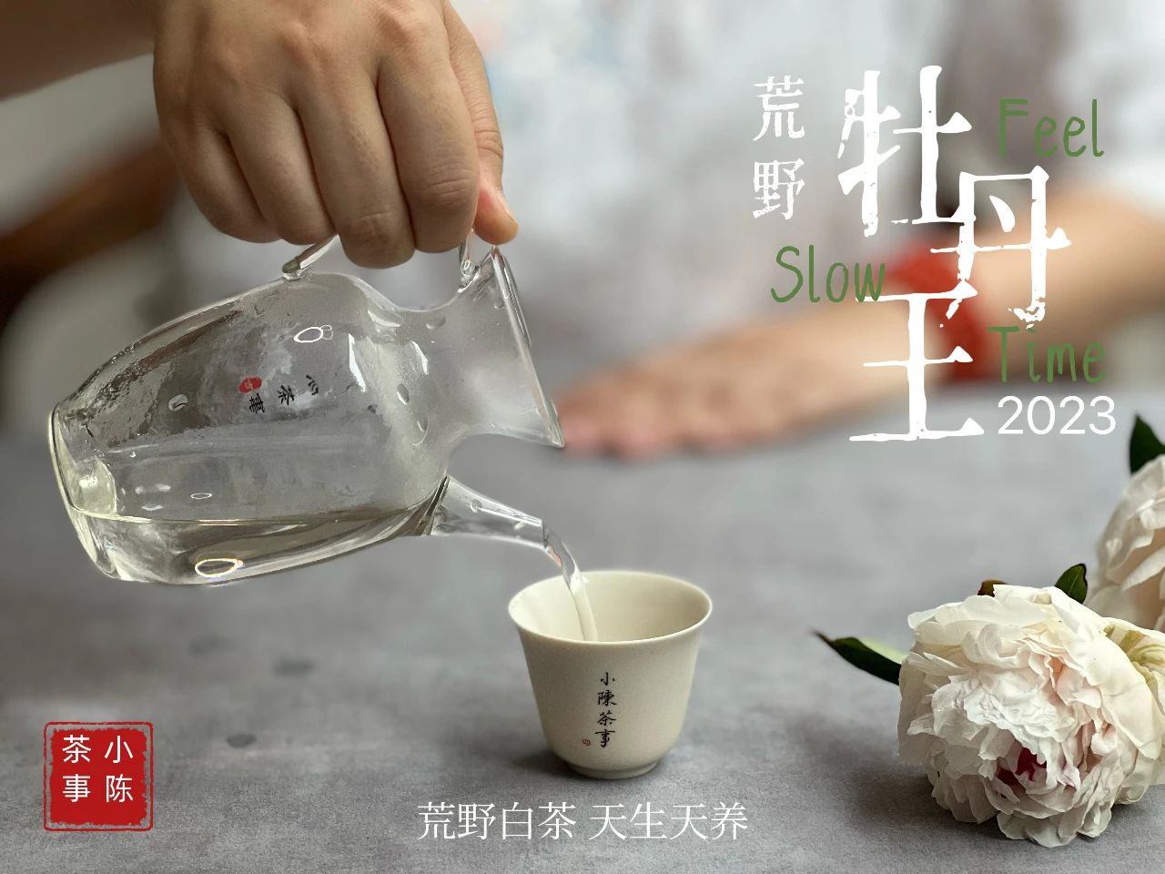 白茶鉴茶全套视频教程,白茶鉴茶教学视频