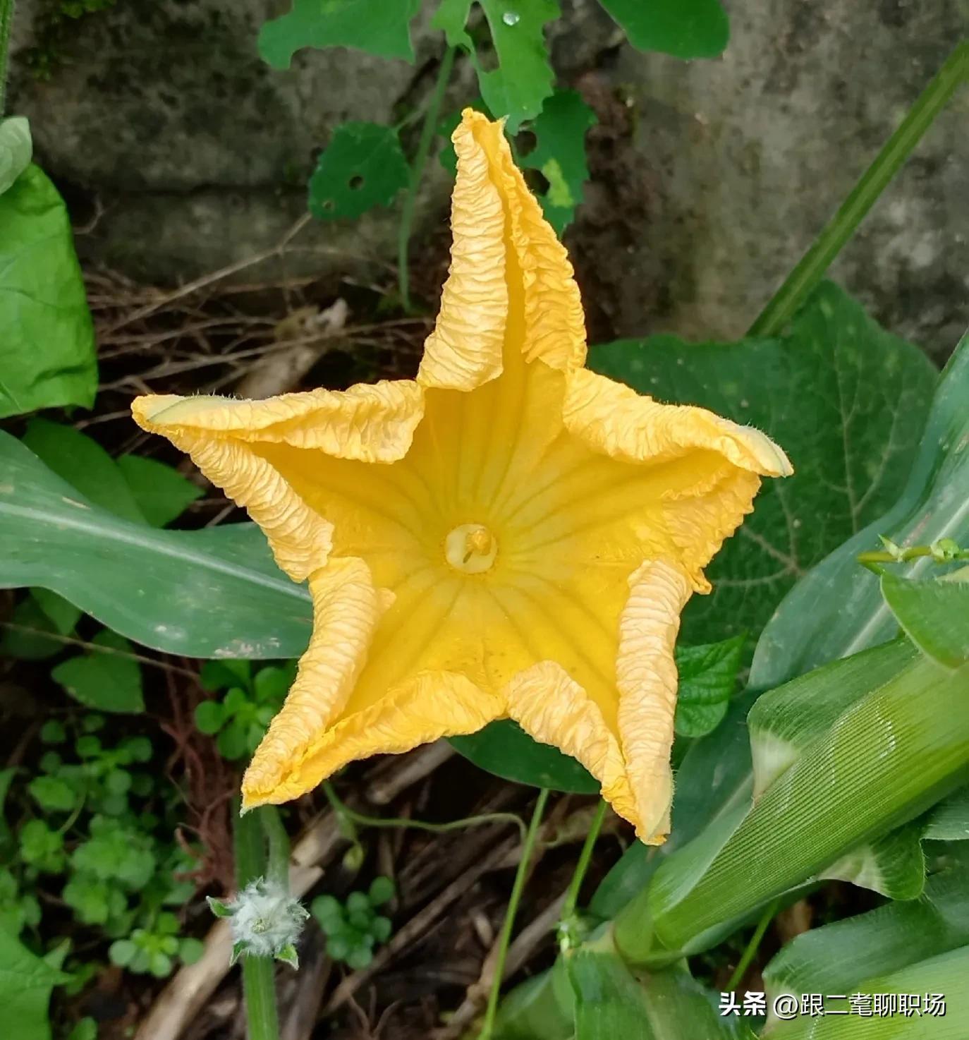 等自己有钱了再把自己当回事吧,只有自己有钱的时候才能做什么