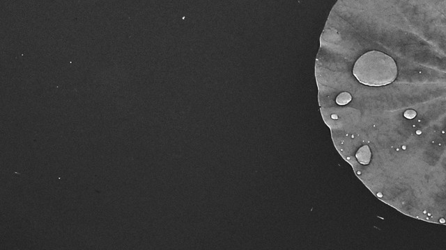 儿童的见识重要还是学历重要,孩子6岁的人生意义