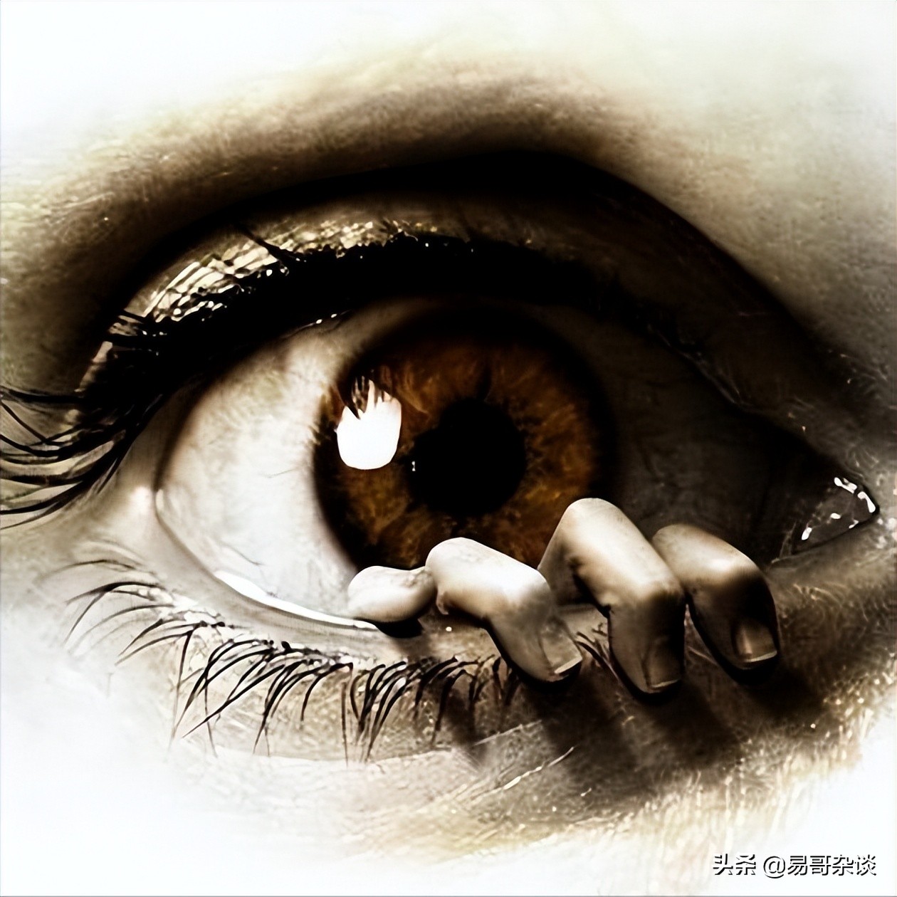 苍岚重生（16）——女人的战争（滑稽无语）