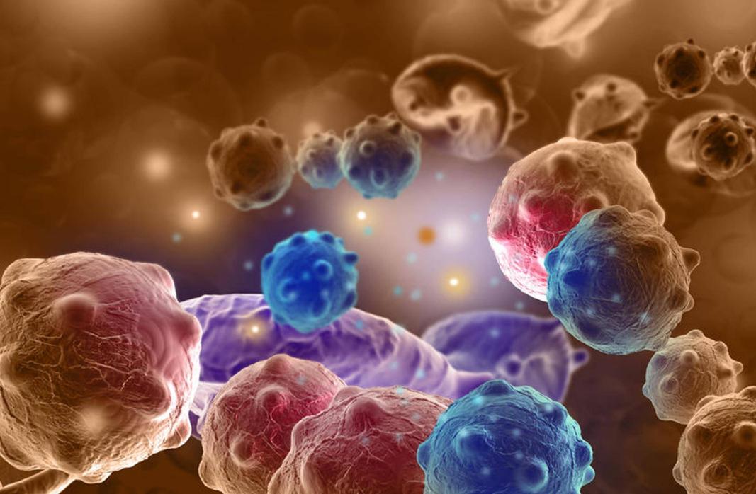 女人身上四个地方脏,女性身上最臭四个部位