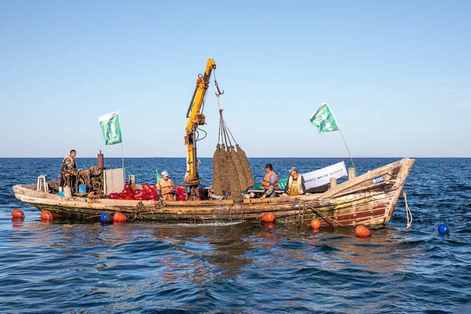 乳山生蚝优鲜品,生鲜优选乳山生蚝
