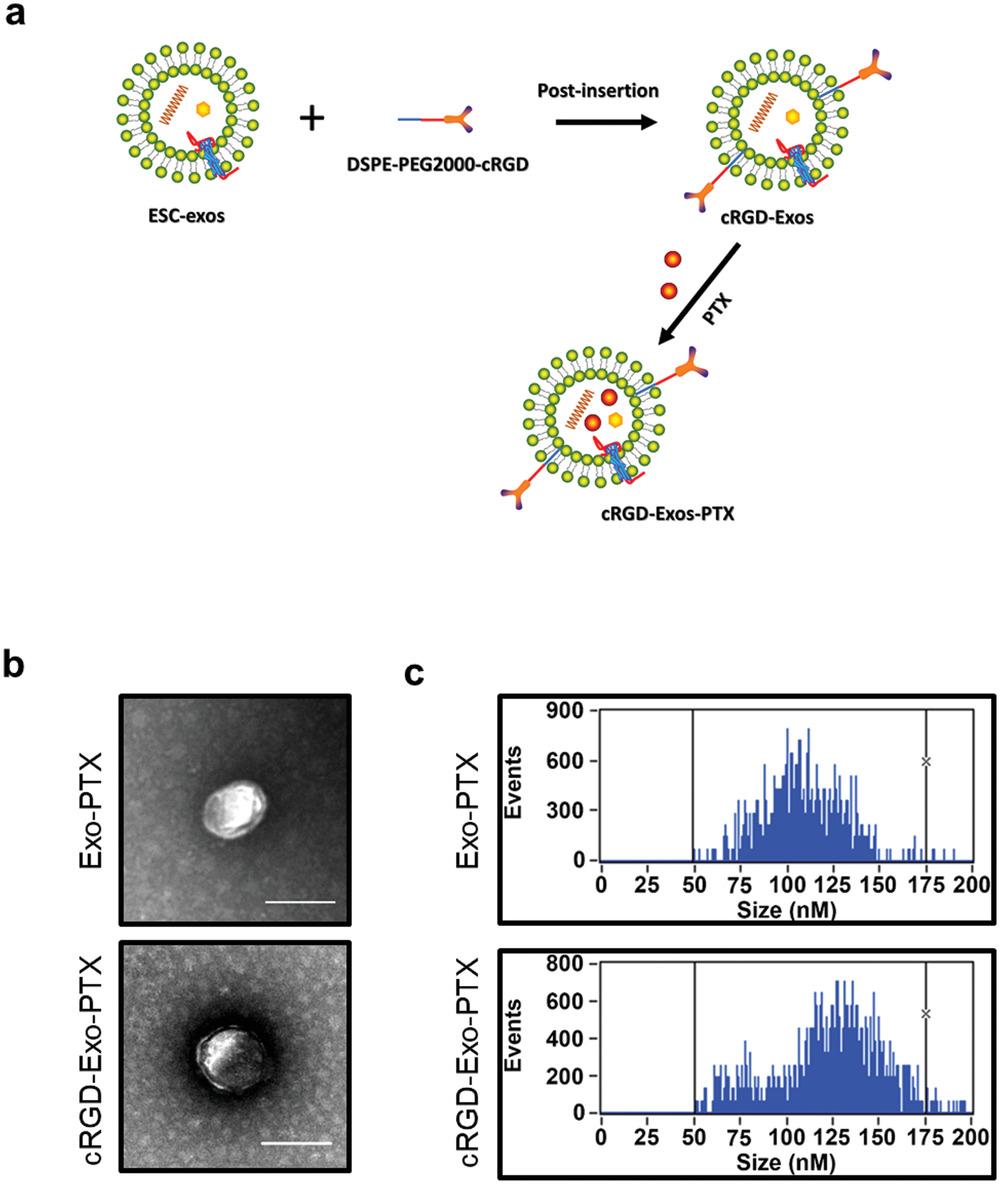 法国最新治疗胶质母细胞瘤,干细胞治疗母细胞胶质瘤
