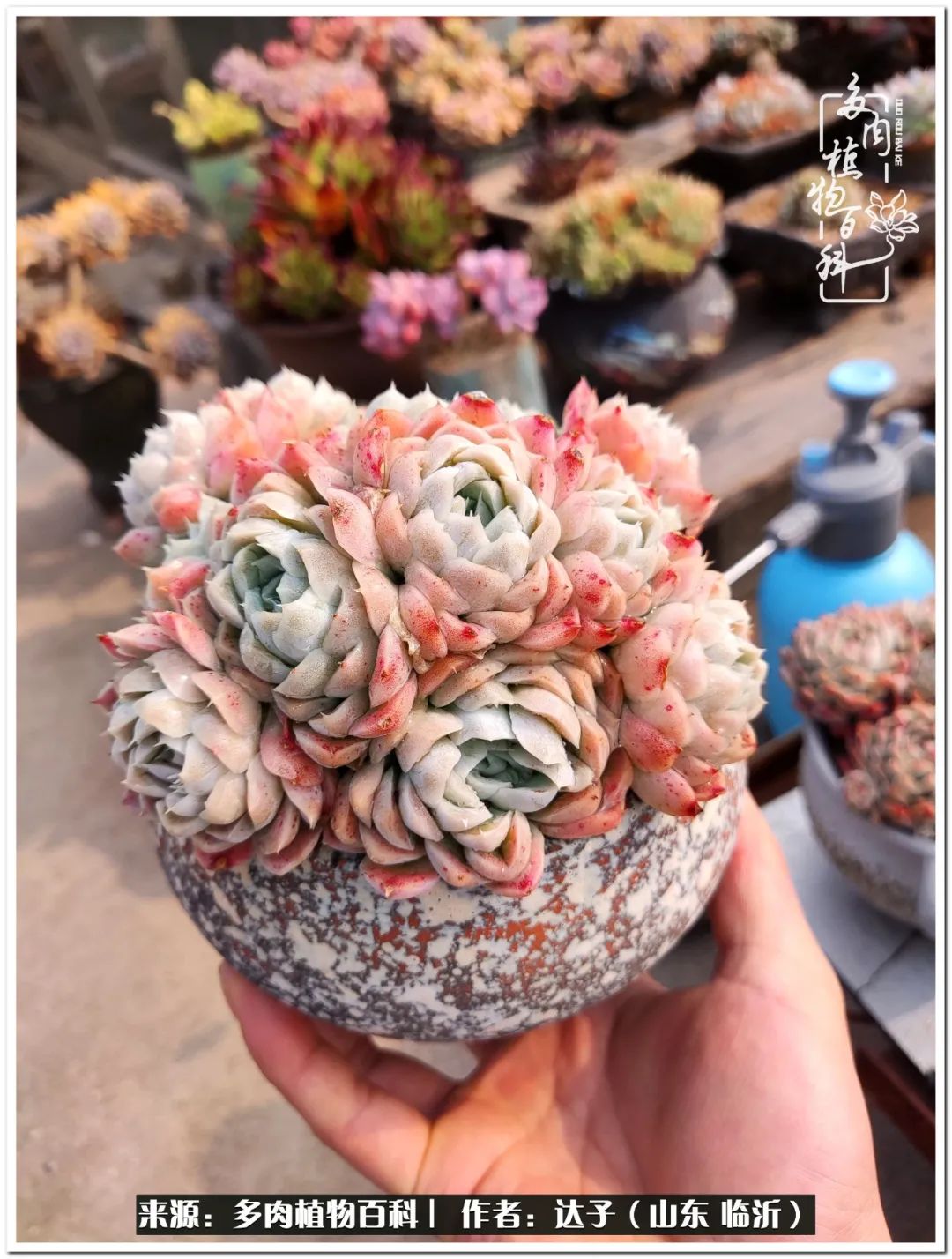 活在当下珍惜眼前平凡的生活,活在当下感慨万千