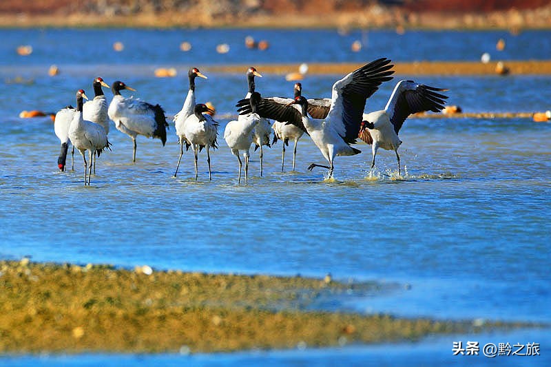 贵州值得玩的景区排名前十名,五一贵州免费景区