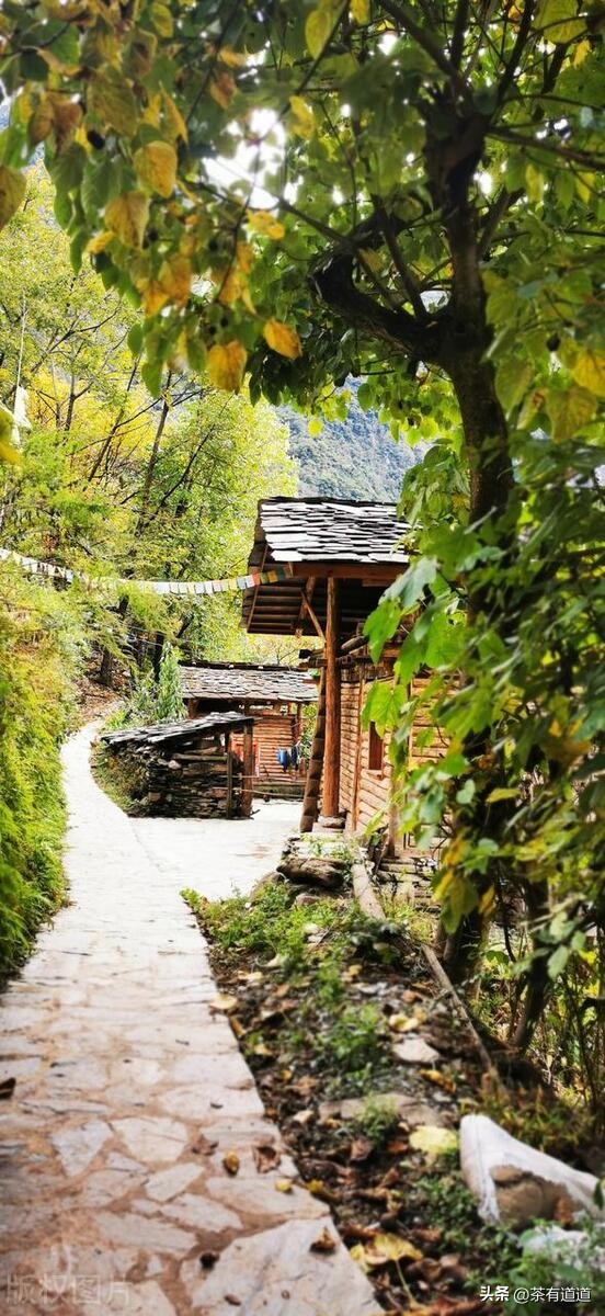 进入怒江雾村必走的茶马古道,怒江大峡谷茶马古道雾里村