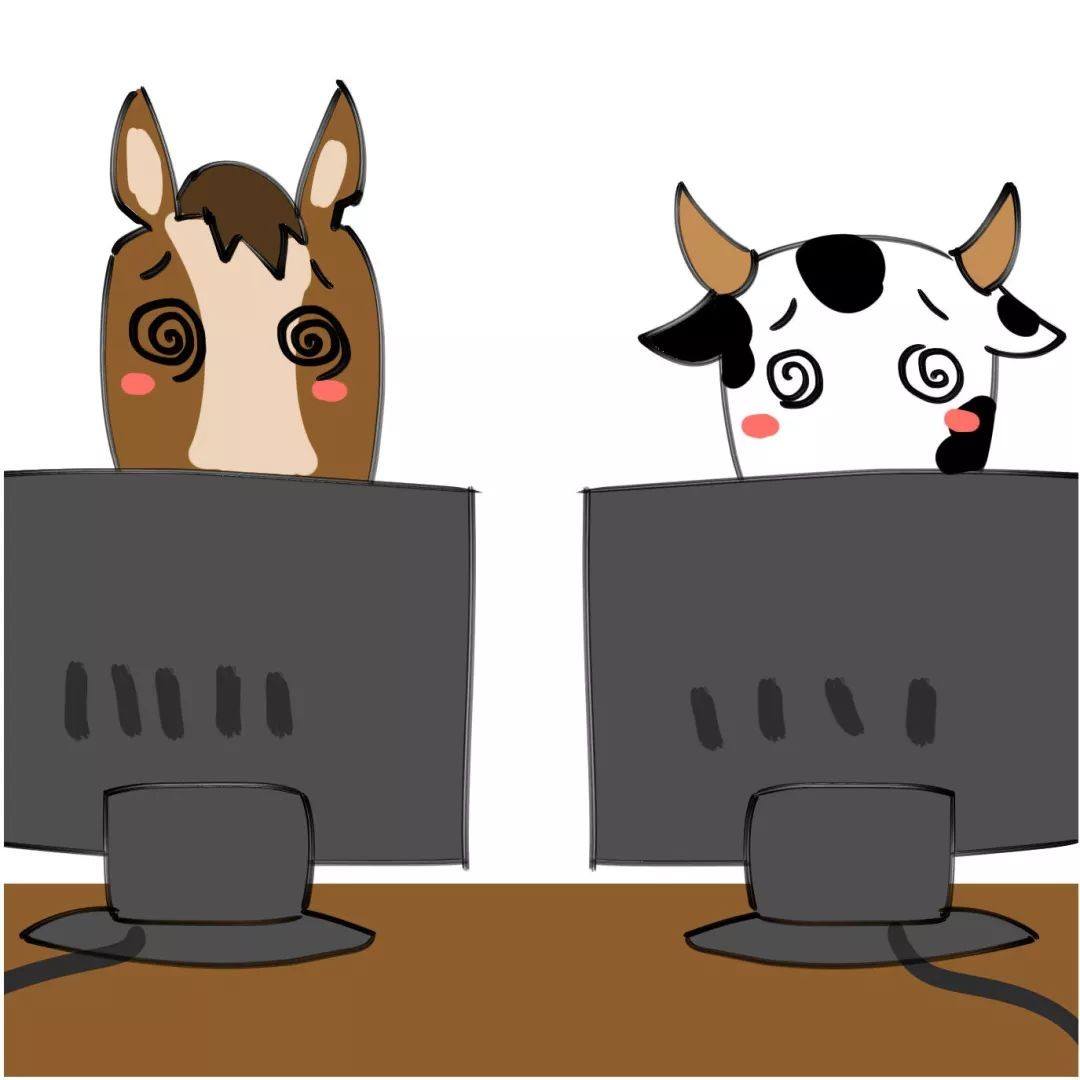 真实的上海IT圈:张江男vs漕河泾男