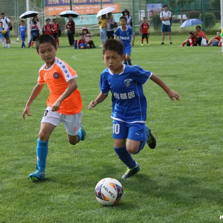 聚焦2023全国两会提案,聚焦2024年全国两会投票阶段