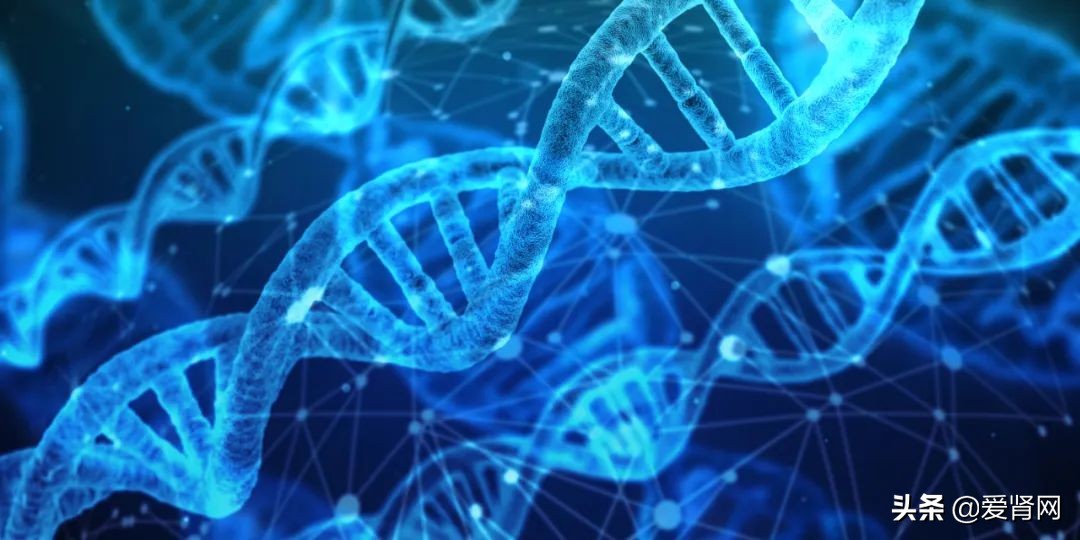 皮肤瘙痒哪些食材不能吃,皮肤瘙痒症有什么菜不能吃