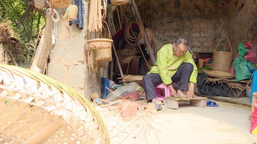 竹山县培育壮大竹产业,竹产业资源整合