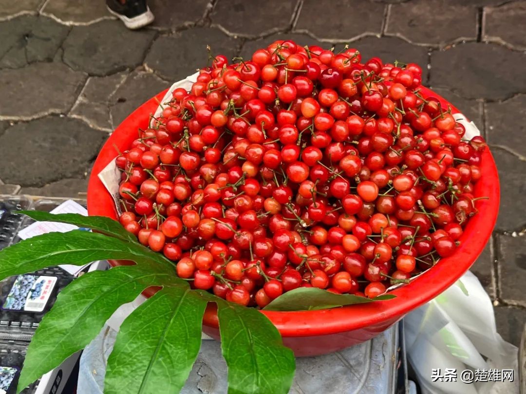 楚雄樱桃批发,楚雄樱桃多少钱一斤