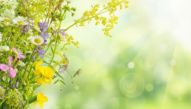 女人结婚前一定要跟男人做的事,女人结婚前要跟你做什么