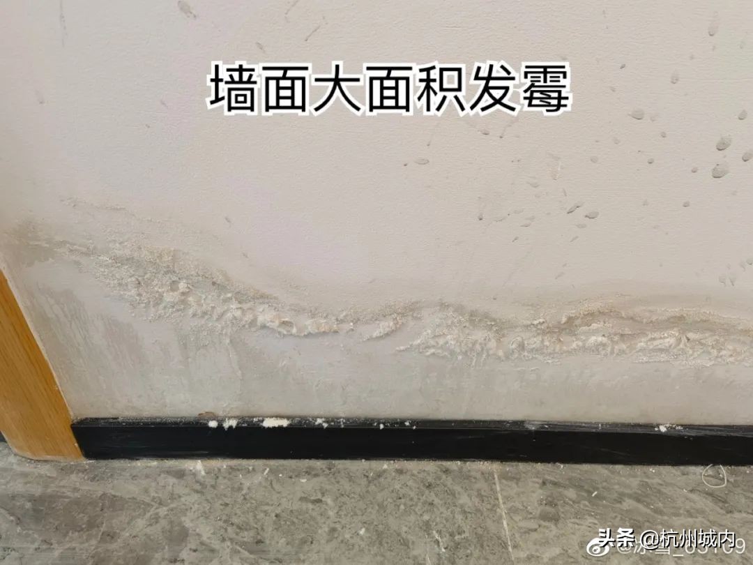 我眼中未来的城市,我眼中的未来科技城绘画