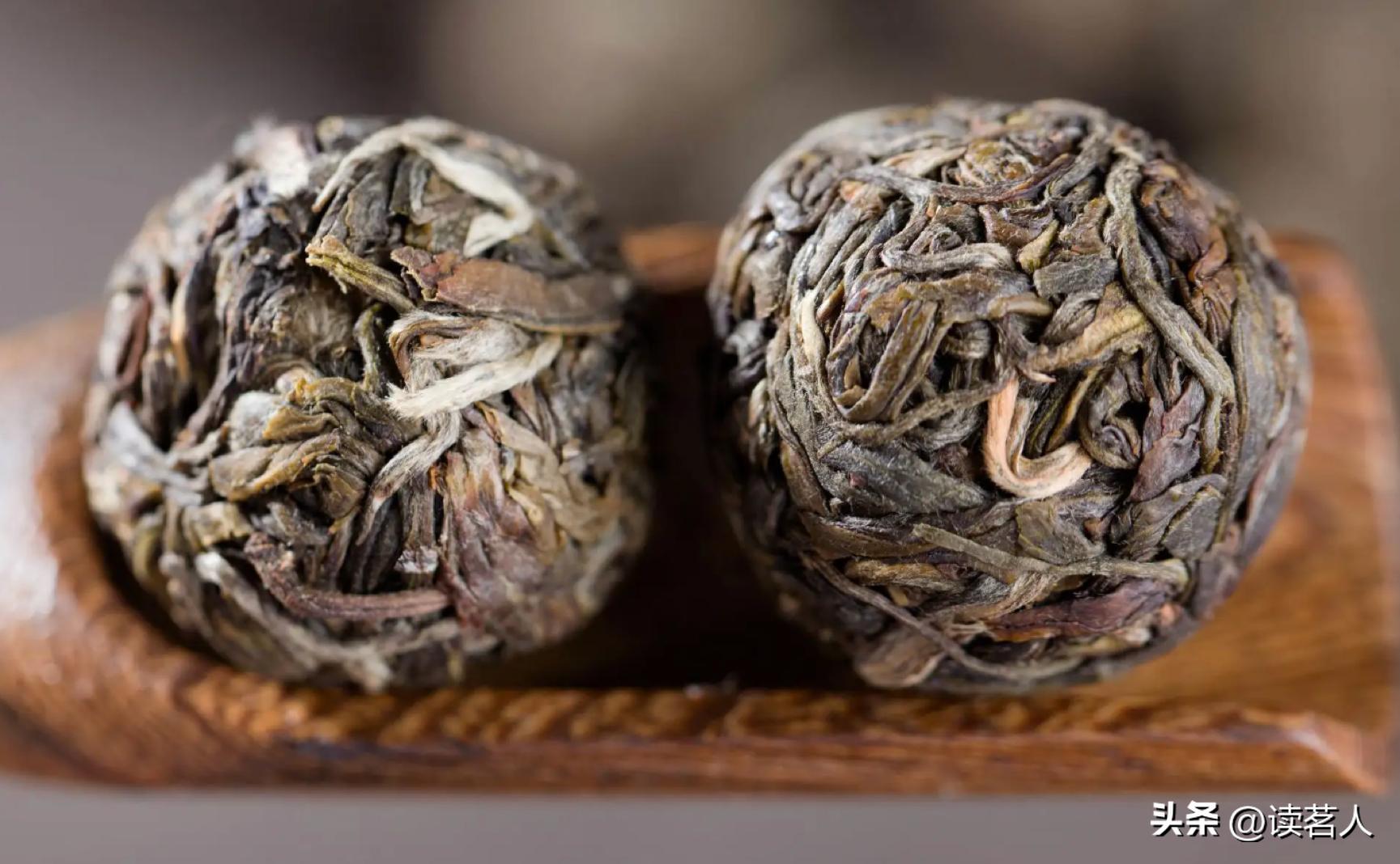 寻味云南普洱,寻味普洱生茶