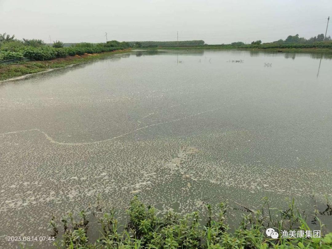 硫化氢的危害程度,硫化氢的最好处理方法是什么